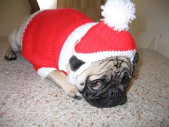 Mops