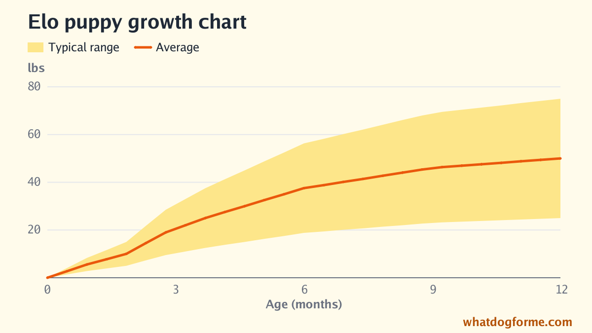 Elo puppy growth chart: expected weight by month from birth to 12 months, adult weight 25-75 lbs