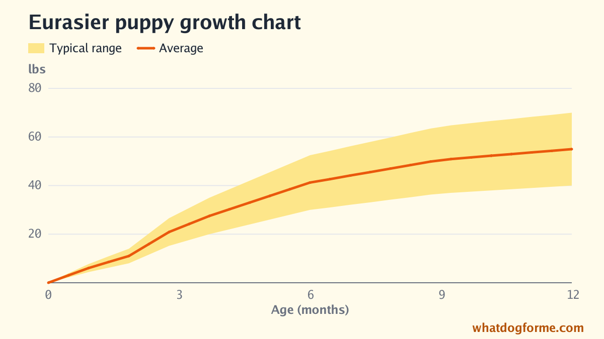 Eurasier puppy growth chart: expected weight by month from birth to 12 months, adult weight 40-70 lbs