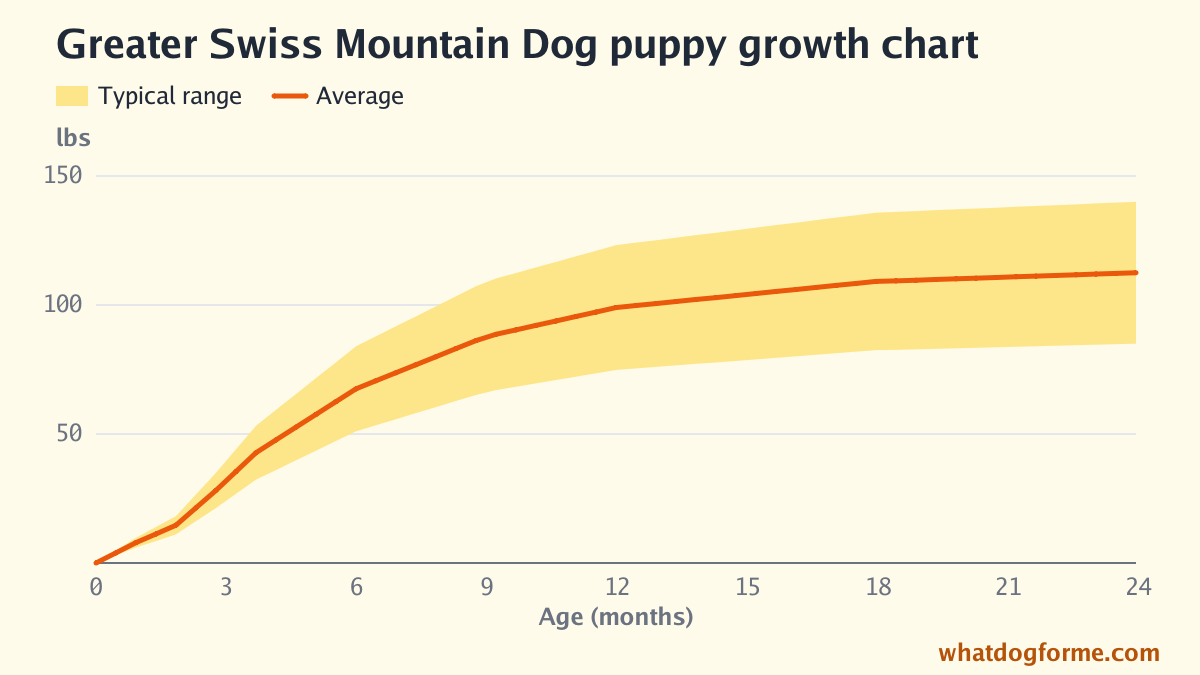 Greater Swiss Mountain Dog puppy growth chart: expected weight by month from birth to 24 months, adult weight 85-140 lbs
