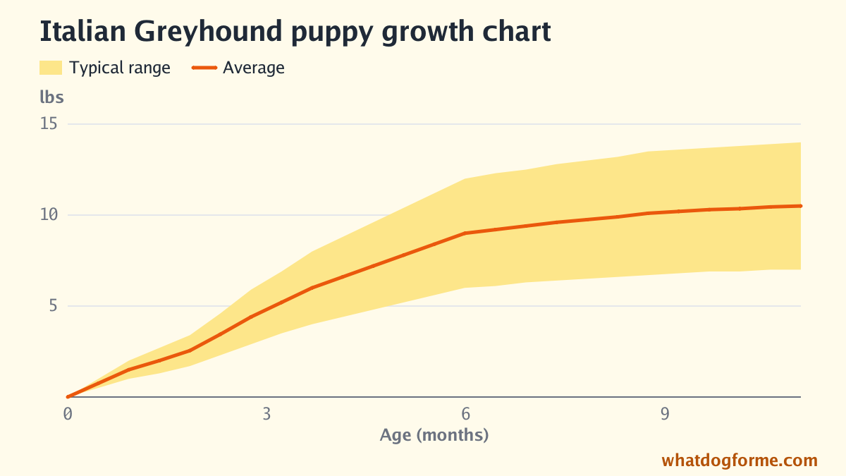 Italian Greyhound puppy growth chart: expected weight by month from birth to 11 months, adult weight 7-14 lbs