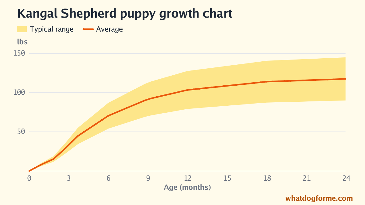 Kangal Shepherd puppy growth chart: expected weight by month from birth to 24 months, adult weight 90-145 lbs