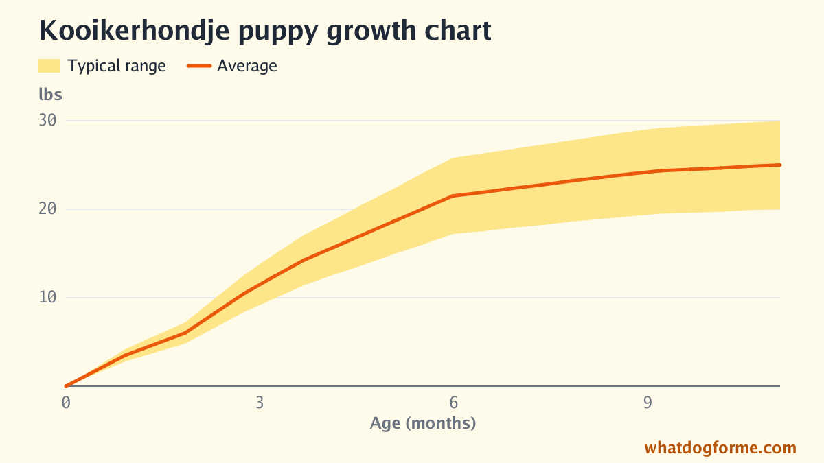 Kooikerhondje puppy growth chart: expected weight by month from birth to 11 months, adult weight 20-30 lbs