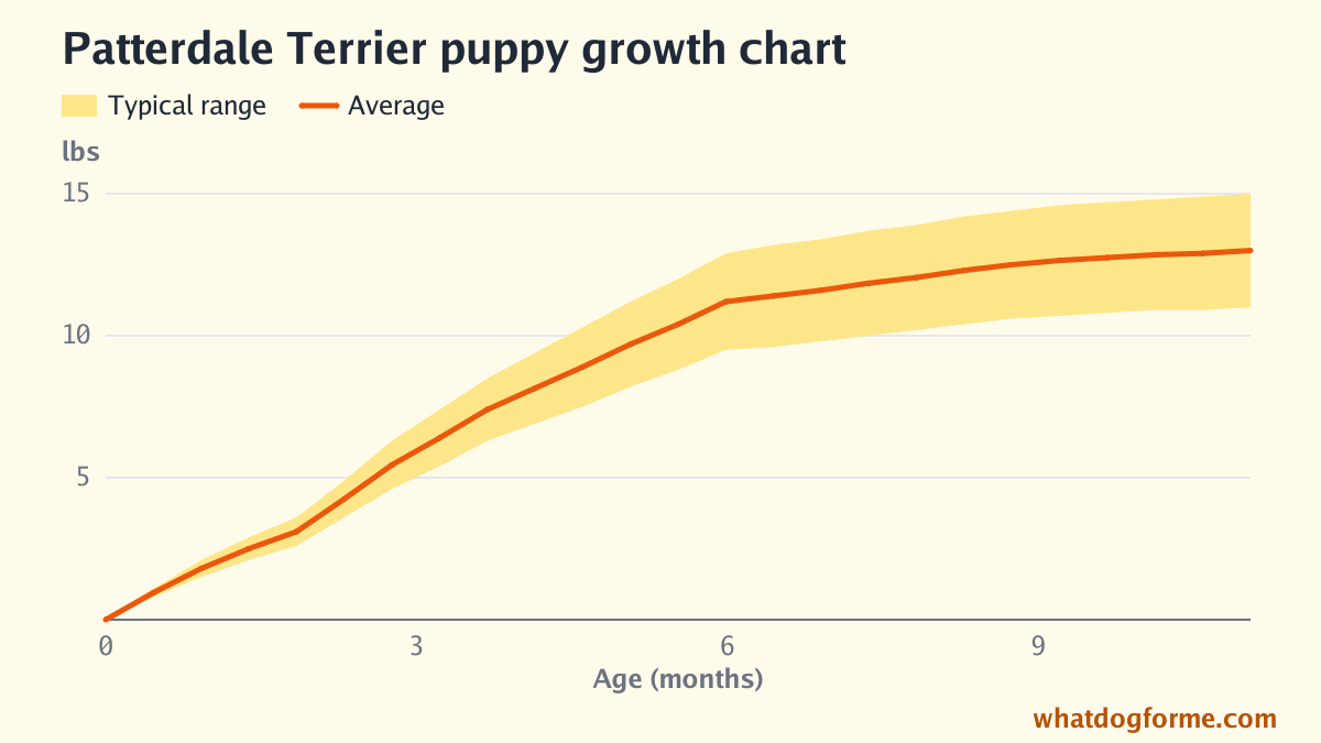 Patterdale Terrier puppy growth chart: expected weight by month from birth to 11 months, adult weight 11-15 lbs