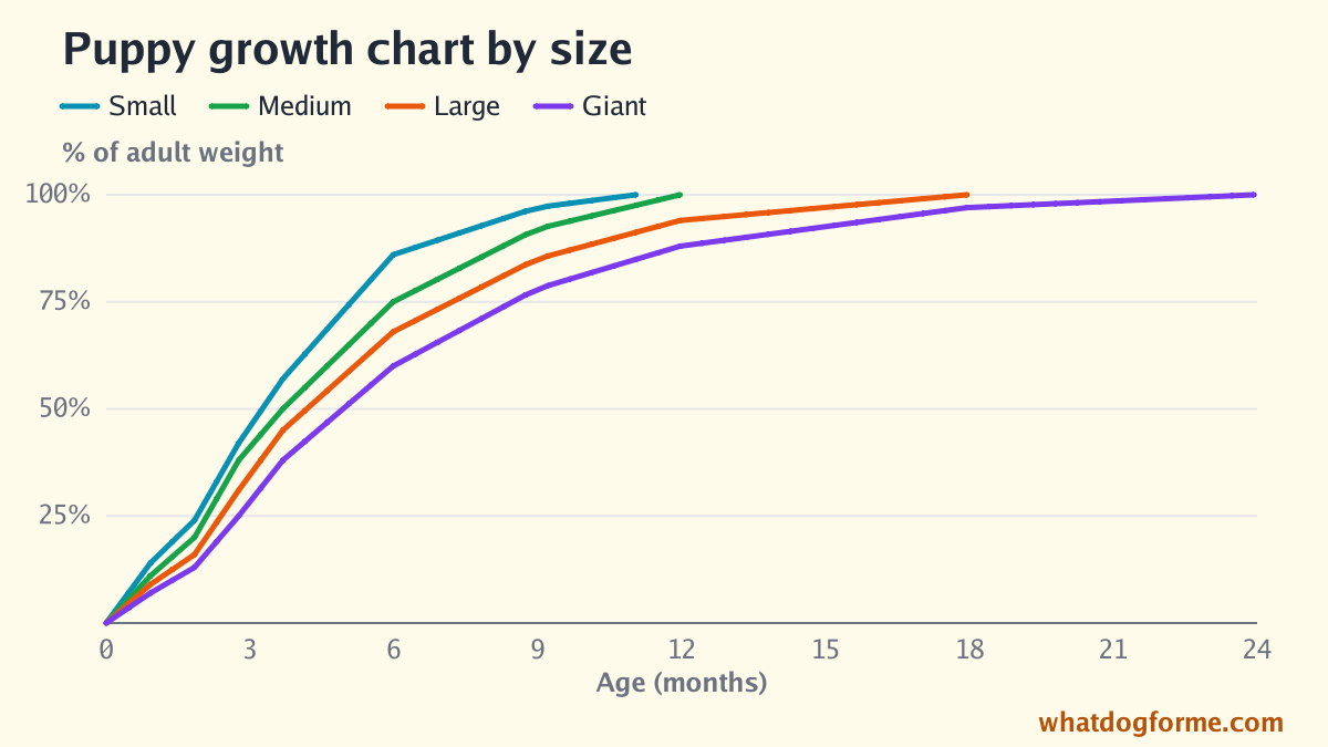 Puppy growth chart by size: share of adult weight by month from birth to 24 months for small, medium, large and giant dogs