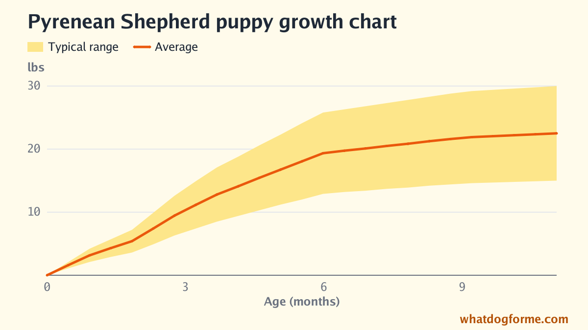 Pyrenean Shepherd puppy growth chart: expected weight by month from birth to 11 months, adult weight 15-30 lbs