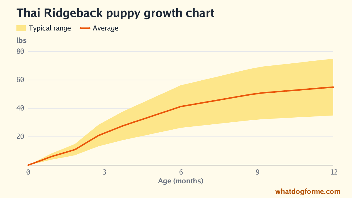 Thai Ridgeback puppy growth chart: expected weight by month from birth to 12 months, adult weight 35-75 lbs