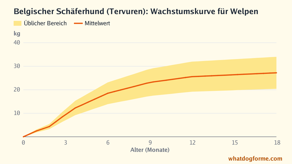 Belgischer Schäferhund (Tervuren): Wachstumskurve für Welpen, erwartetes Gewicht nach Monaten von der Geburt bis 18 Monate, Endgewicht 20-34 kg