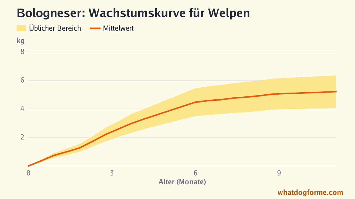 Bologneser: Wachstumskurve für Welpen, erwartetes Gewicht nach Monaten von der Geburt bis 11 Monate, Endgewicht 4-6,5 kg