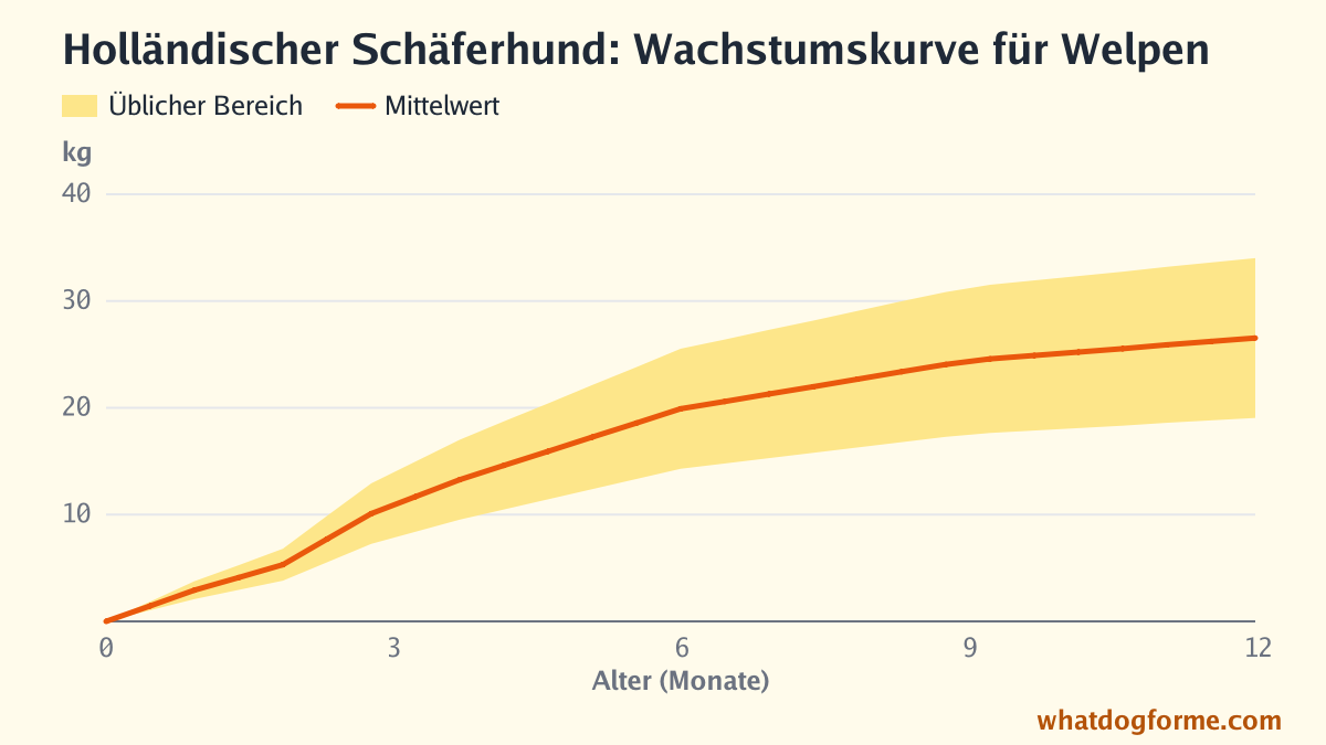 Holländischer Schäferhund: Wachstumskurve für Welpen, erwartetes Gewicht nach Monaten von der Geburt bis 12 Monate, Endgewicht 19-34 kg