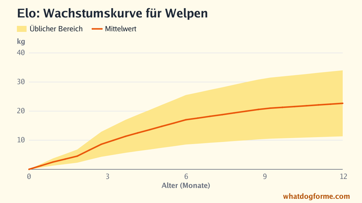 Elo: Wachstumskurve für Welpen, erwartetes Gewicht nach Monaten von der Geburt bis 12 Monate, Endgewicht 11-34 kg