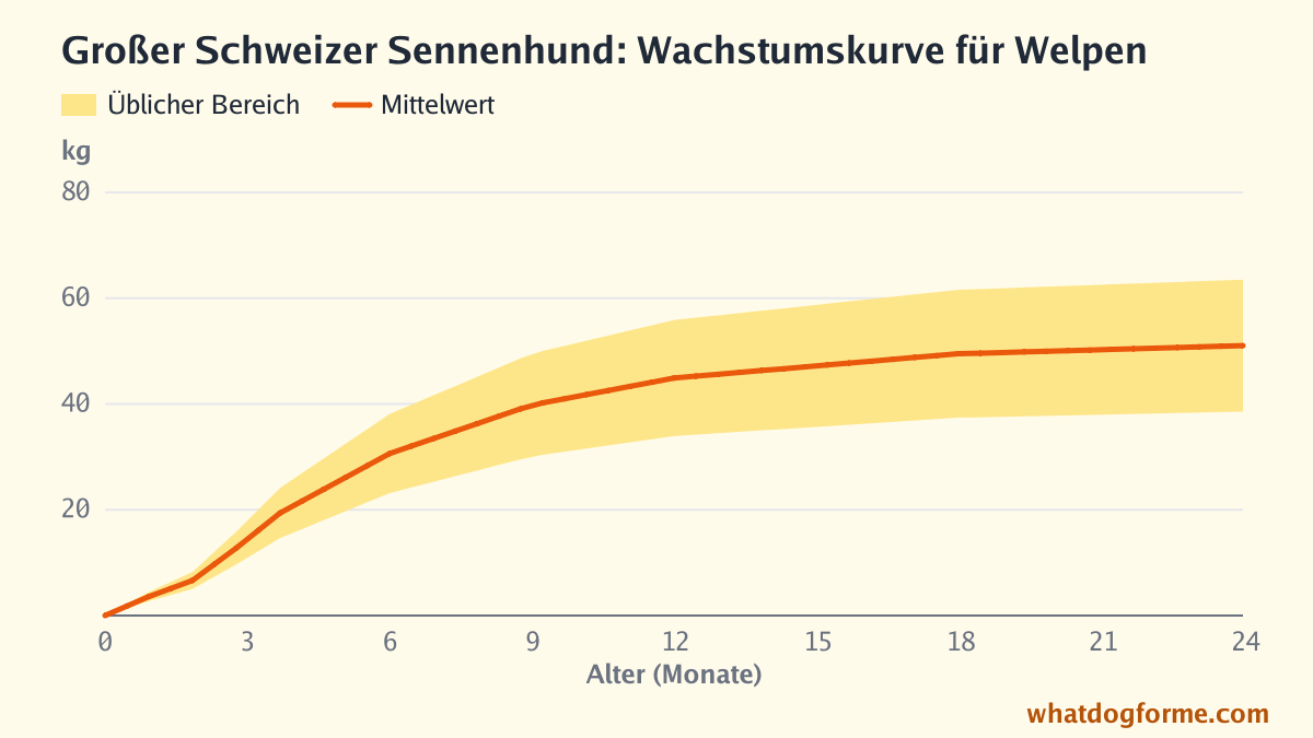 Großer Schweizer Sennenhund: Wachstumskurve für Welpen, erwartetes Gewicht nach Monaten von der Geburt bis 24 Monate, Endgewicht 39-64 kg