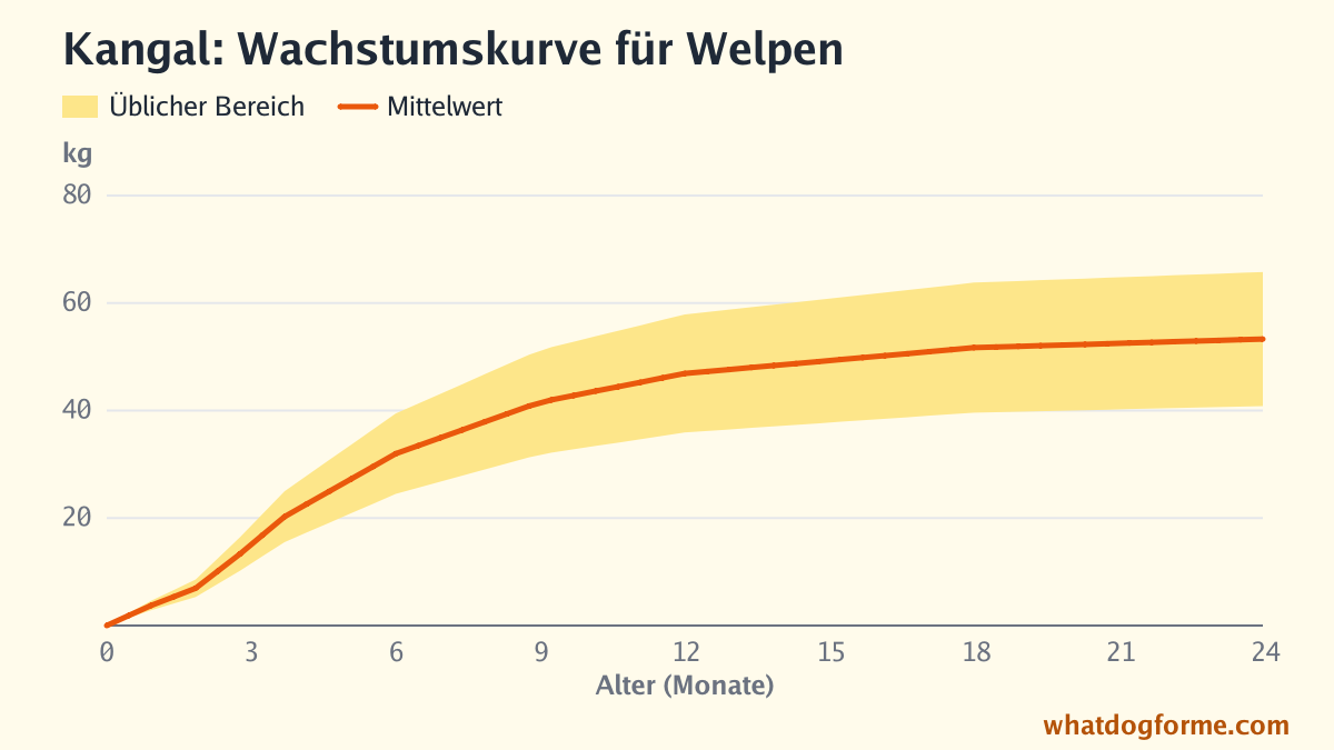 Kangal: Wachstumskurve für Welpen, erwartetes Gewicht nach Monaten von der Geburt bis 24 Monate, Endgewicht 41-66 kg