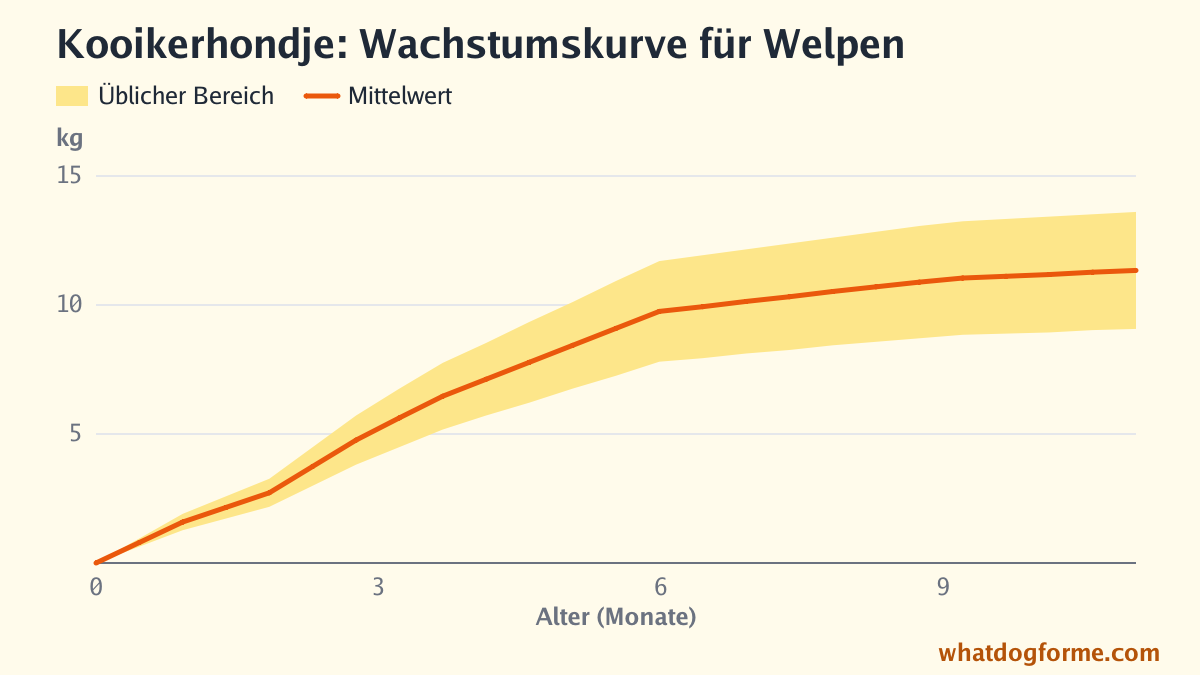 Kooikerhondje: Wachstumskurve für Welpen, erwartetes Gewicht nach Monaten von der Geburt bis 11 Monate, Endgewicht 9-14 kg