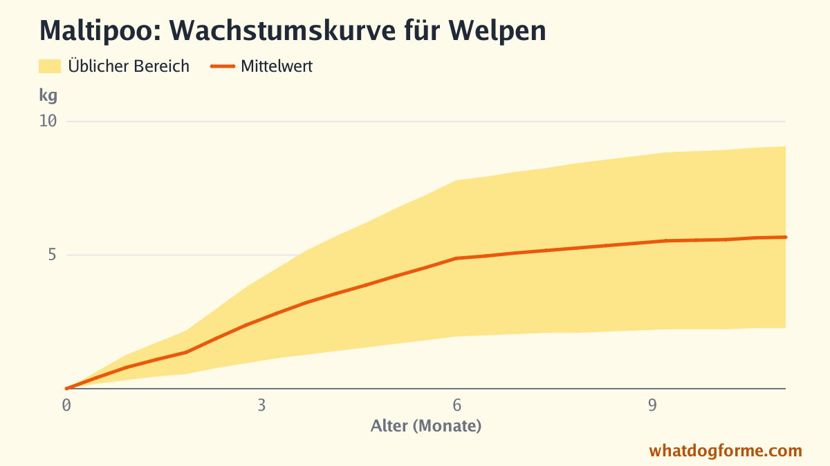 Maltipoo: Wachstumskurve für Welpen, erwartetes Gewicht nach Monaten von der Geburt bis 11 Monate, Endgewicht 2,5-9 kg