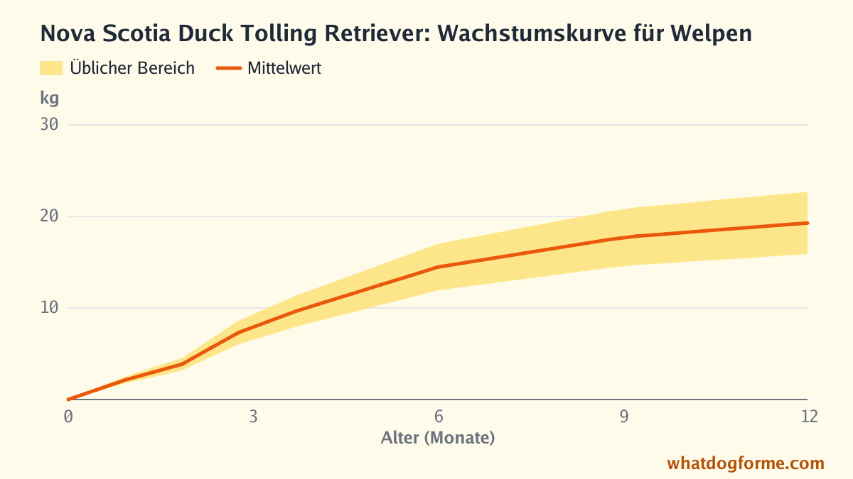 Nova Scotia Duck Tolling Retriever: Wachstumskurve für Welpen, erwartetes Gewicht nach Monaten von der Geburt bis 12 Monate, Endgewicht 16-23 kg