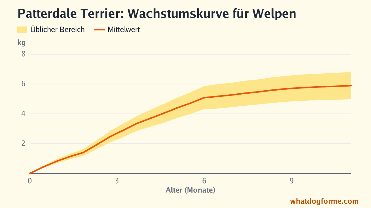 Patterdale Terrier: Wachstumskurve für Welpen, erwartetes Gewicht nach Monaten von der Geburt bis 11 Monate, Endgewicht 5-7 kg