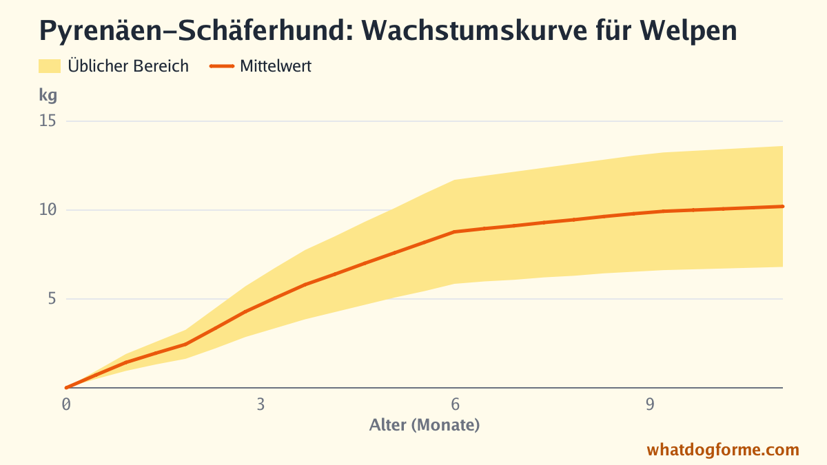 Pyrenäen-Schäferhund: Wachstumskurve für Welpen, erwartetes Gewicht nach Monaten von der Geburt bis 11 Monate, Endgewicht 7-14 kg