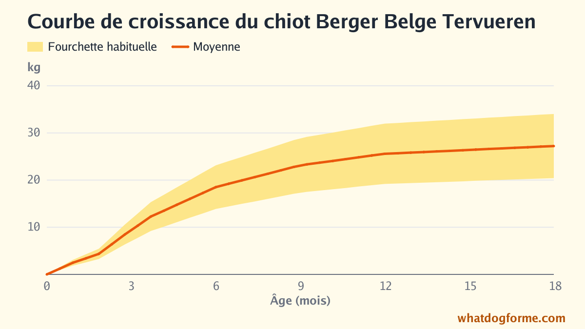 Courbe de croissance du chiot Berger Belge Tervueren : poids attendu mois par mois de la naissance à 18 mois, poids adulte 20-34 kg