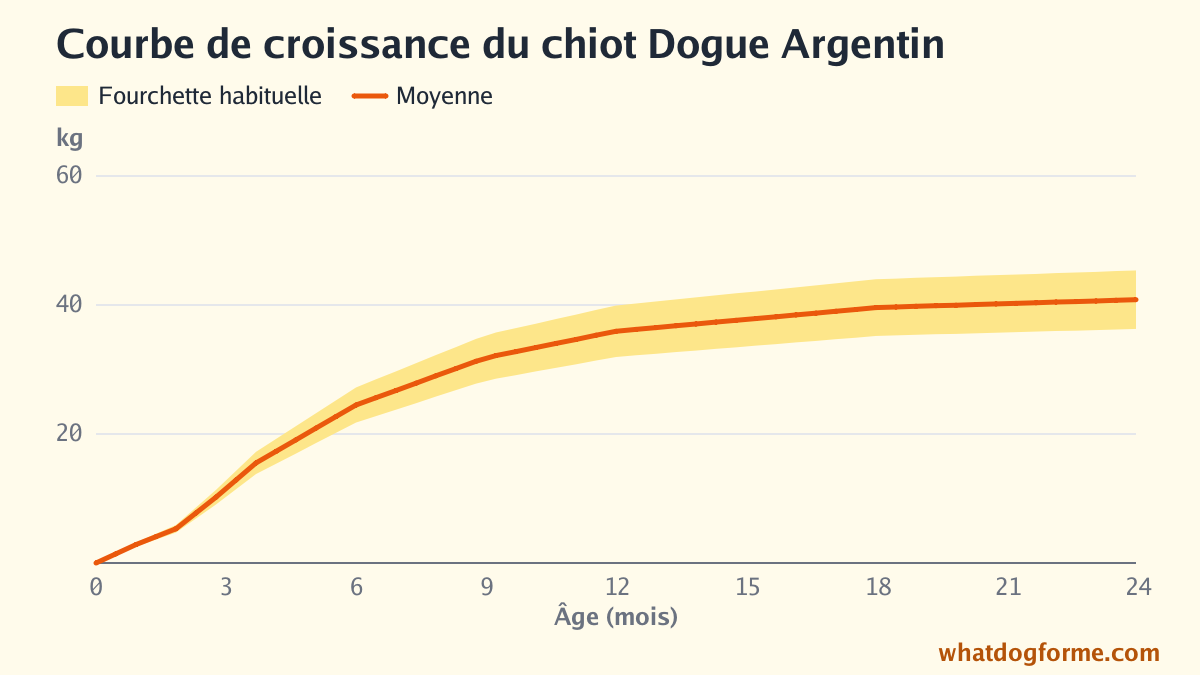 Courbe de croissance du chiot Dogue Argentin : poids attendu mois par mois de la naissance à 24 mois, poids adulte 36-45 kg
