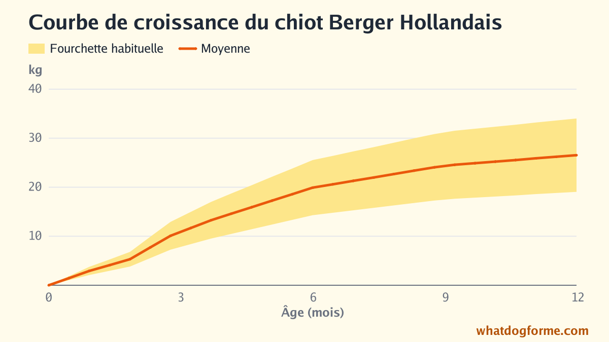 Courbe de croissance du chiot Berger Hollandais : poids attendu mois par mois de la naissance à 12 mois, poids adulte 19-34 kg