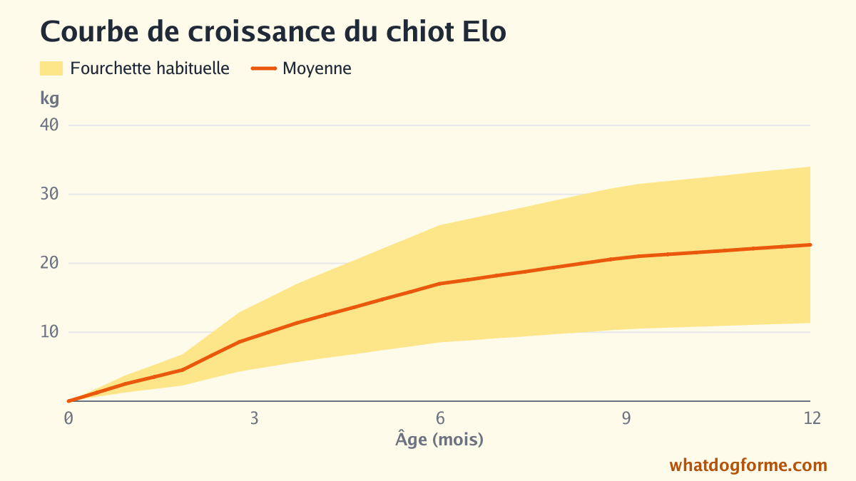 Courbe de croissance du chiot Elo : poids attendu mois par mois de la naissance à 12 mois, poids adulte 11-34 kg
