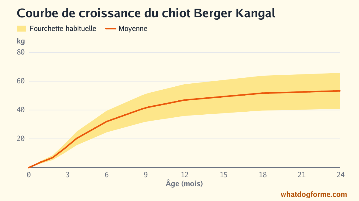 Courbe de croissance du chiot Berger Kangal : poids attendu mois par mois de la naissance à 24 mois, poids adulte 41-66 kg