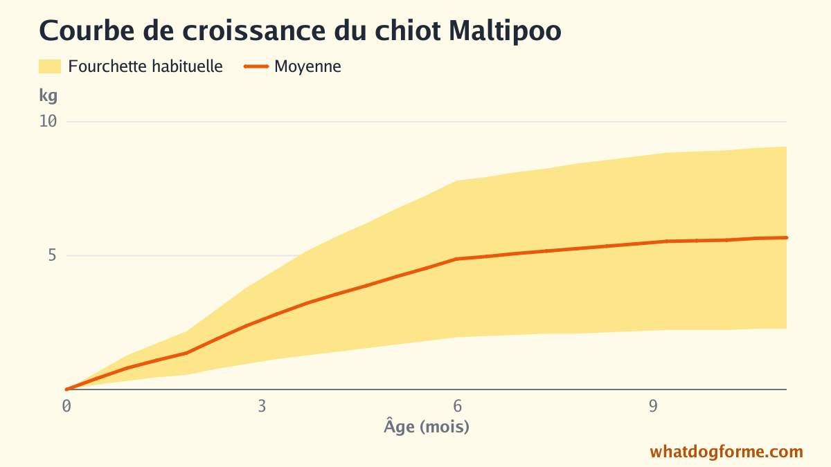 Courbe de croissance du chiot Maltipoo : poids attendu mois par mois de la naissance à 11 mois, poids adulte 2,5-9 kg