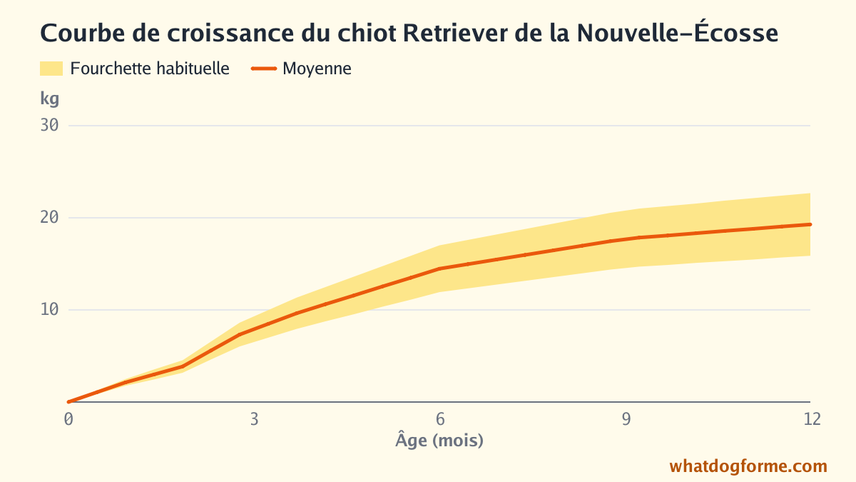 Courbe de croissance du chiot Retriever de la Nouvelle-Écosse : poids attendu mois par mois de la naissance à 12 mois, poids adulte 16-23 kg