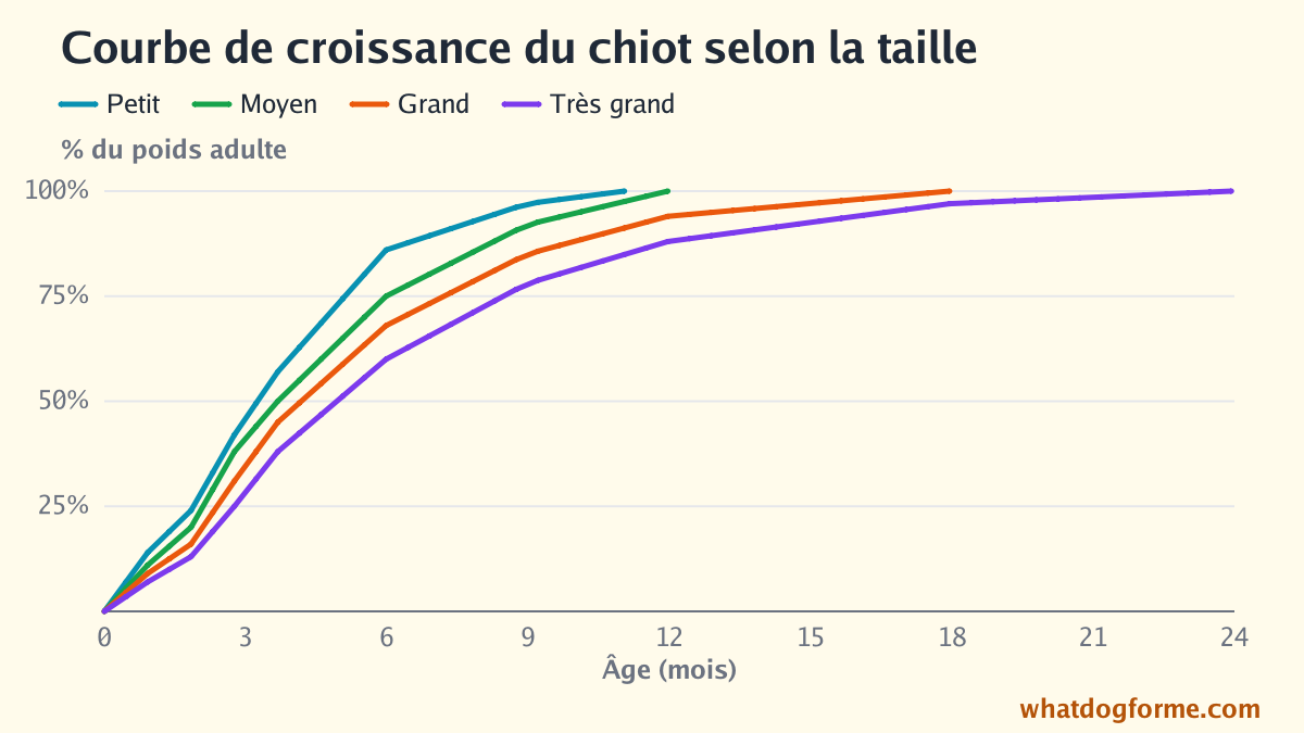 Courbe de croissance du chiot selon la taille : part du poids adulte mois par mois de la naissance à 24 mois pour les petits, moyens, grands et très grands chiens