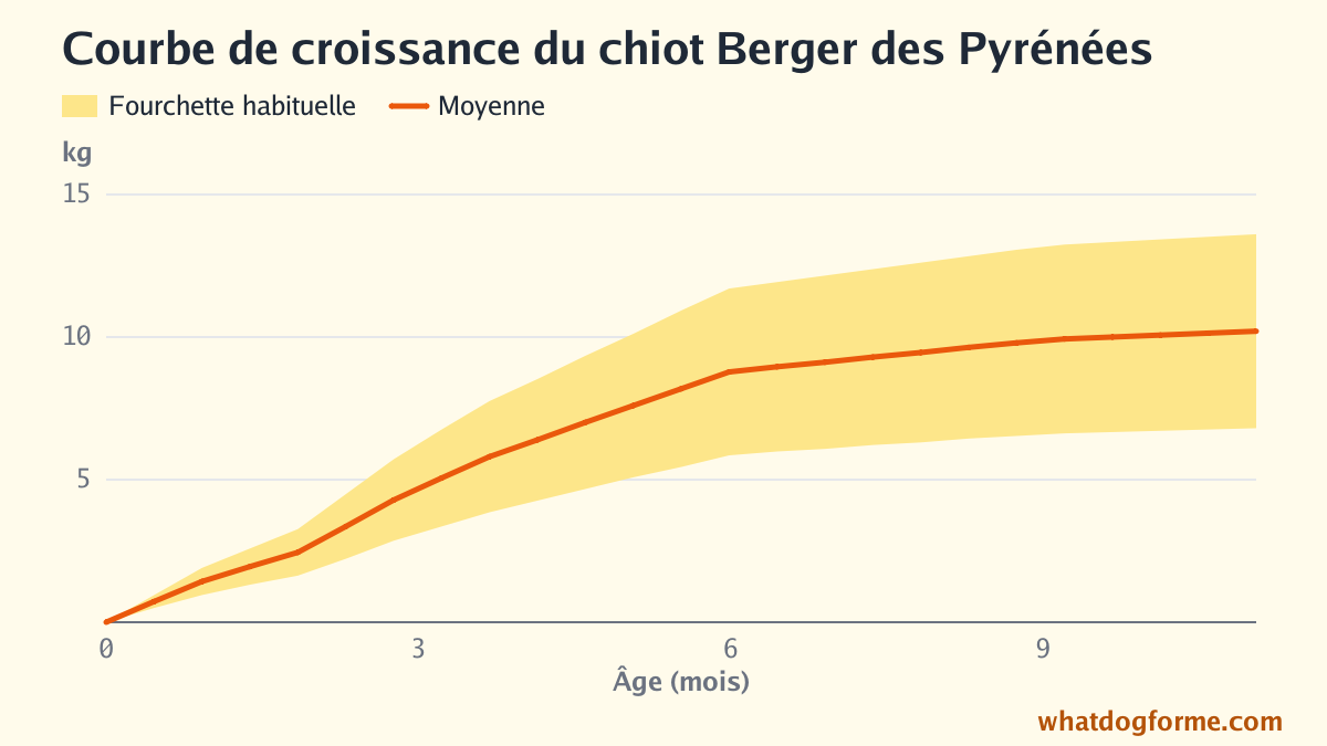 Courbe de croissance du chiot Berger des Pyrénées : poids attendu mois par mois de la naissance à 11 mois, poids adulte 7-14 kg