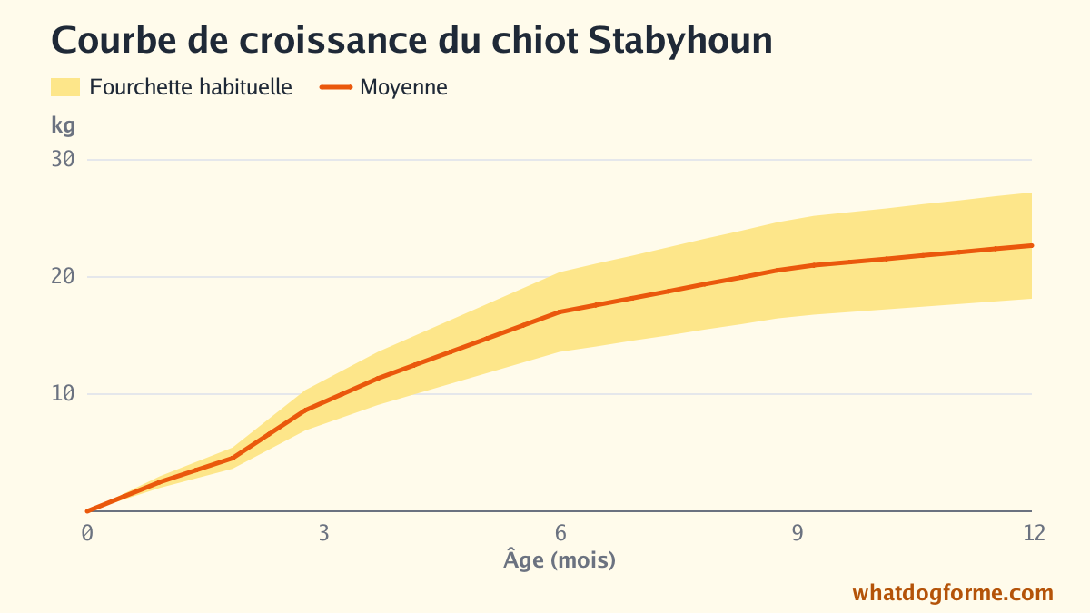Courbe de croissance du chiot Stabyhoun : poids attendu mois par mois de la naissance à 12 mois, poids adulte 18-27 kg