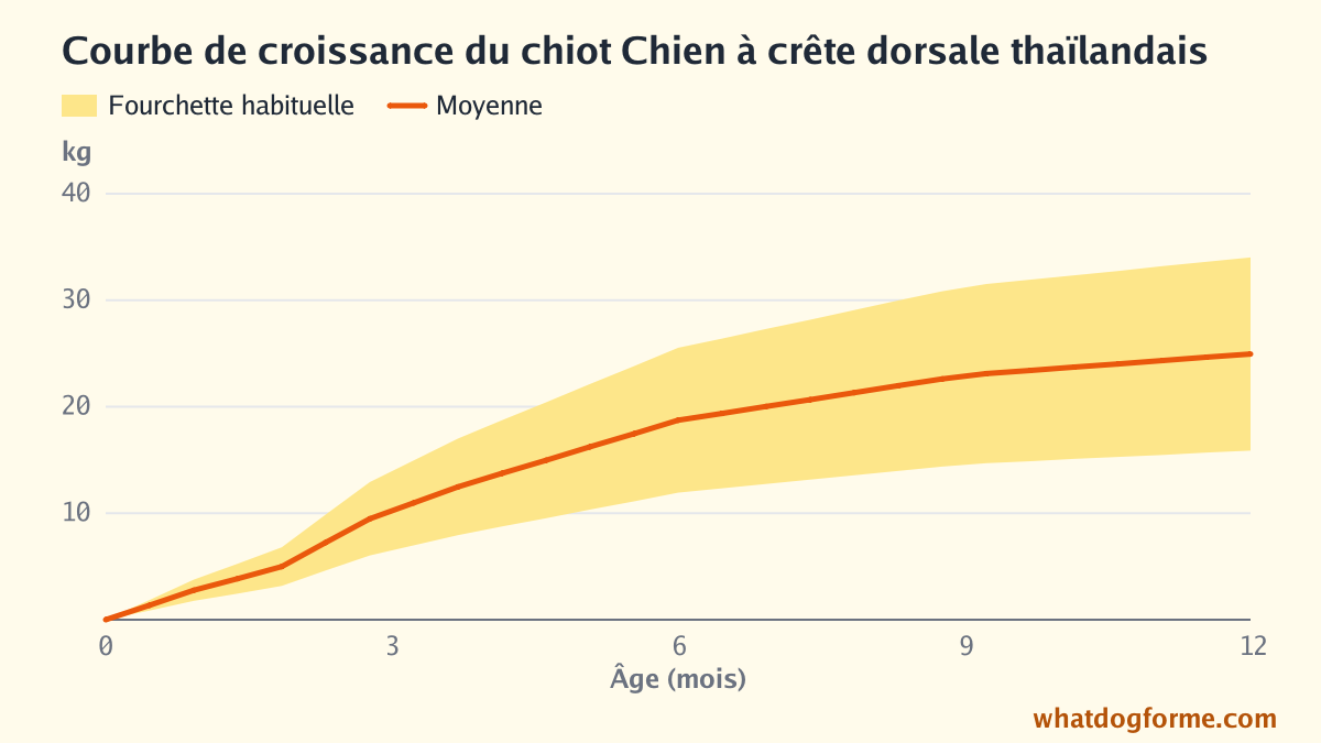 Courbe de croissance du chiot Chien à crête dorsale thaïlandais : poids attendu mois par mois de la naissance à 12 mois, poids adulte 16-34 kg