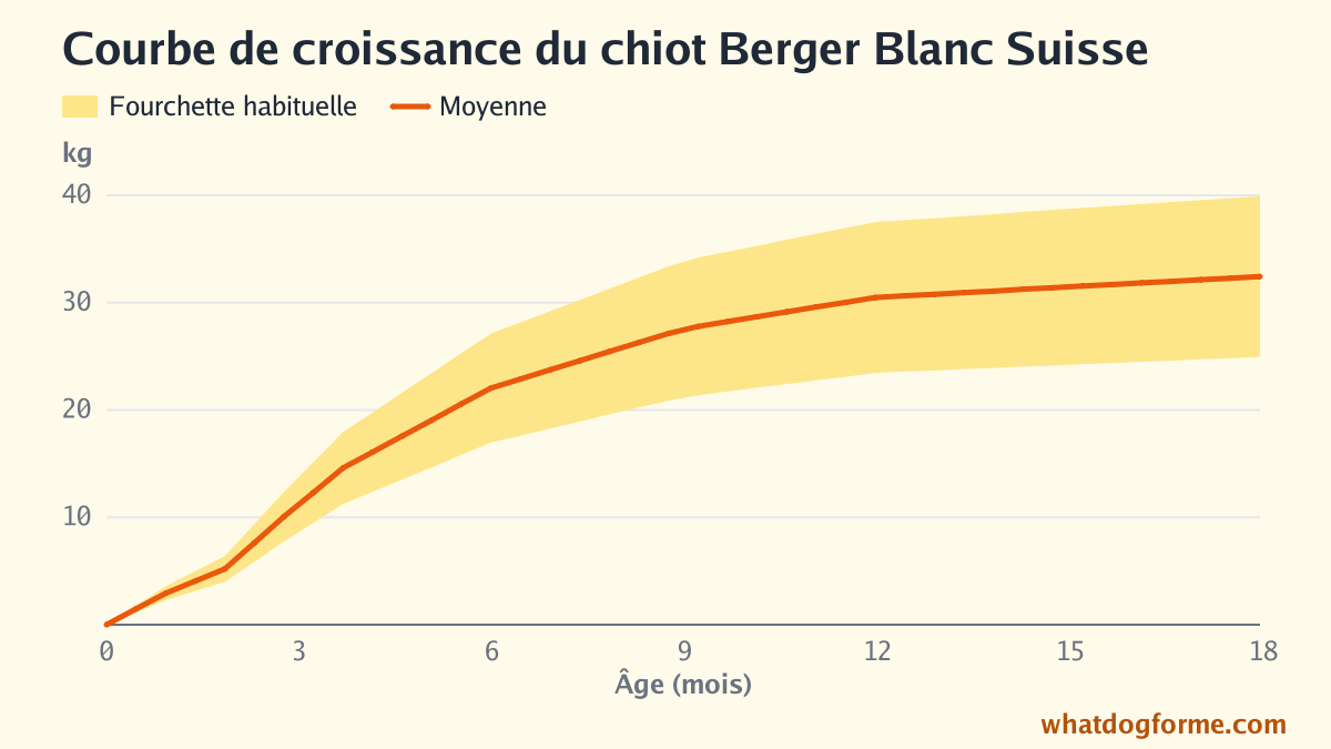 Courbe de croissance du chiot Berger Blanc Suisse : poids attendu mois par mois de la naissance à 18 mois, poids adulte 25-40 kg