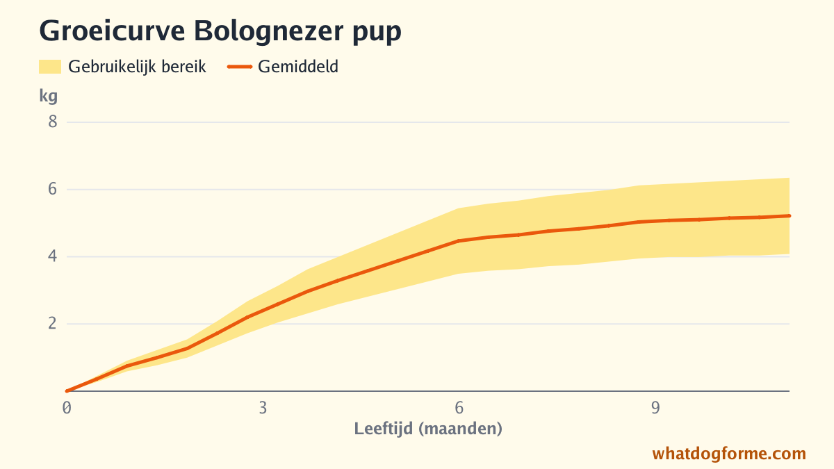 Groeicurve Bolognezer pup: verwacht gewicht per maand van geboorte tot 11 maanden, volwassen gewicht 4-6,5 kg