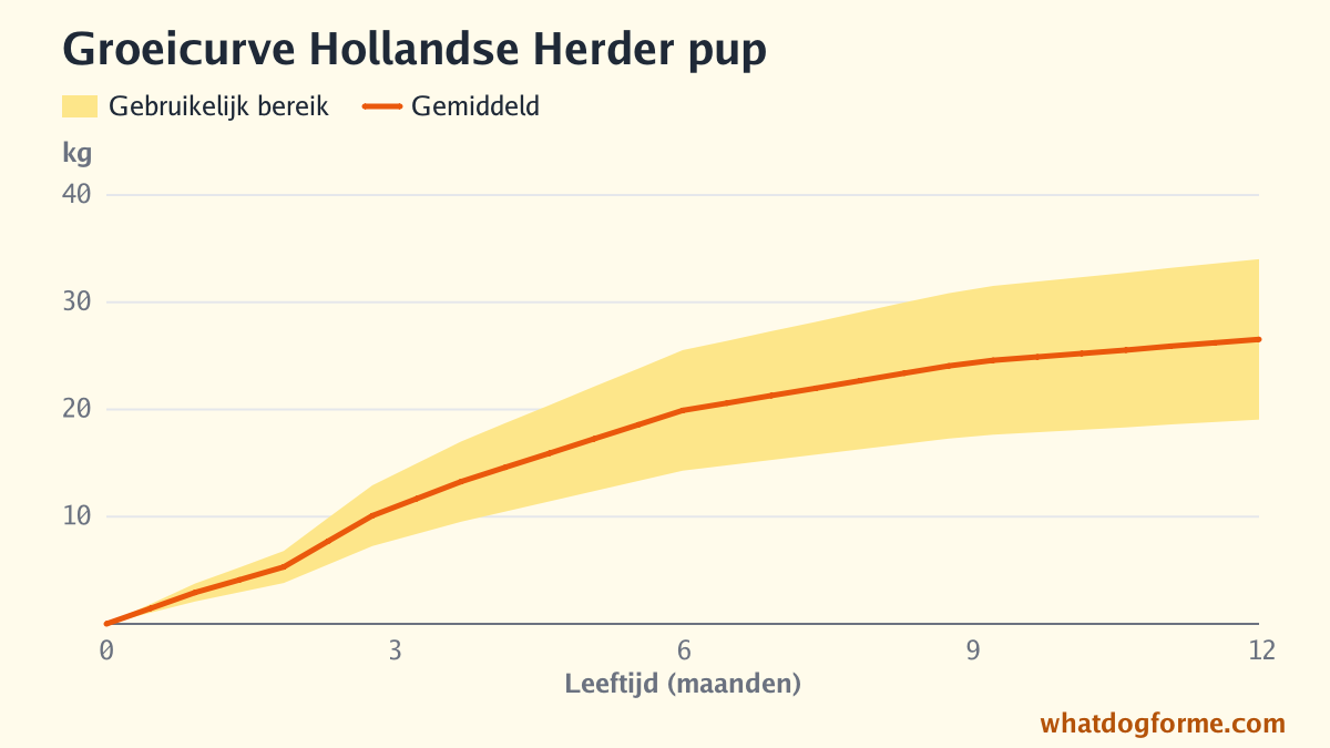Groeicurve Hollandse Herder pup: verwacht gewicht per maand van geboorte tot 12 maanden, volwassen gewicht 19-34 kg