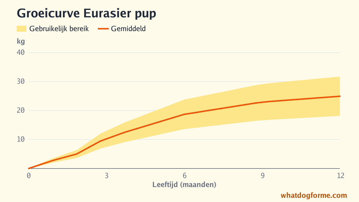 Groeicurve Eurasier pup: verwacht gewicht per maand van geboorte tot 12 maanden, volwassen gewicht 18-32 kg