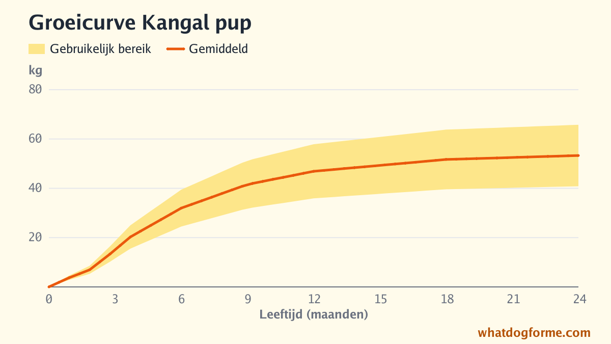 Groeicurve Kangal pup: verwacht gewicht per maand van geboorte tot 24 maanden, volwassen gewicht 41-66 kg