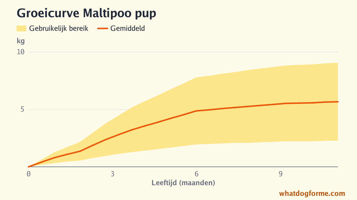 Groeicurve Maltipoo pup: verwacht gewicht per maand van geboorte tot 11 maanden, volwassen gewicht 2,5-9 kg