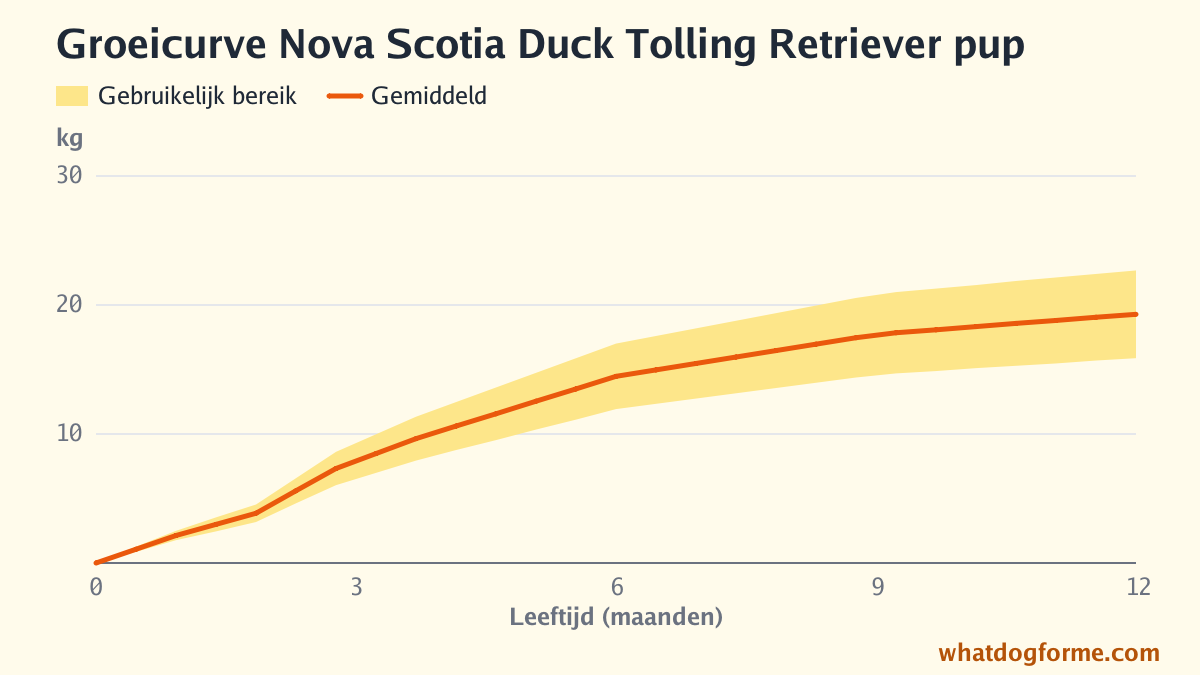 Groeicurve Nova Scotia Duck Tolling Retriever pup: verwacht gewicht per maand van geboorte tot 12 maanden, volwassen gewicht 16-23 kg