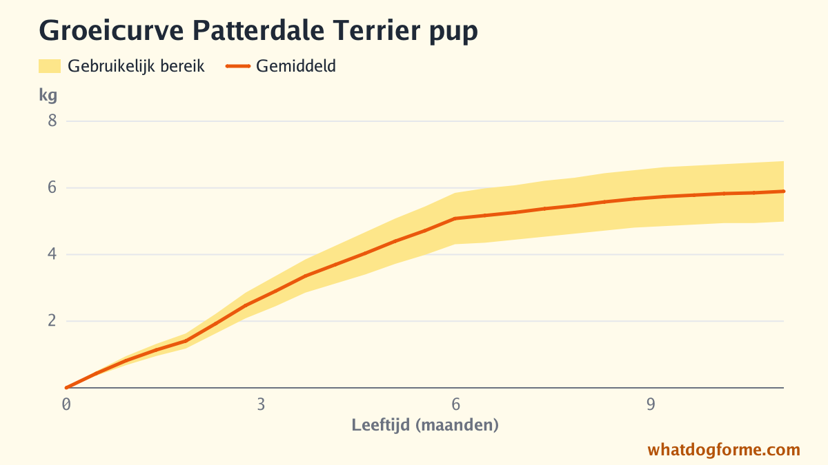 Groeicurve Patterdale Terrier pup: verwacht gewicht per maand van geboorte tot 11 maanden, volwassen gewicht 5-7 kg