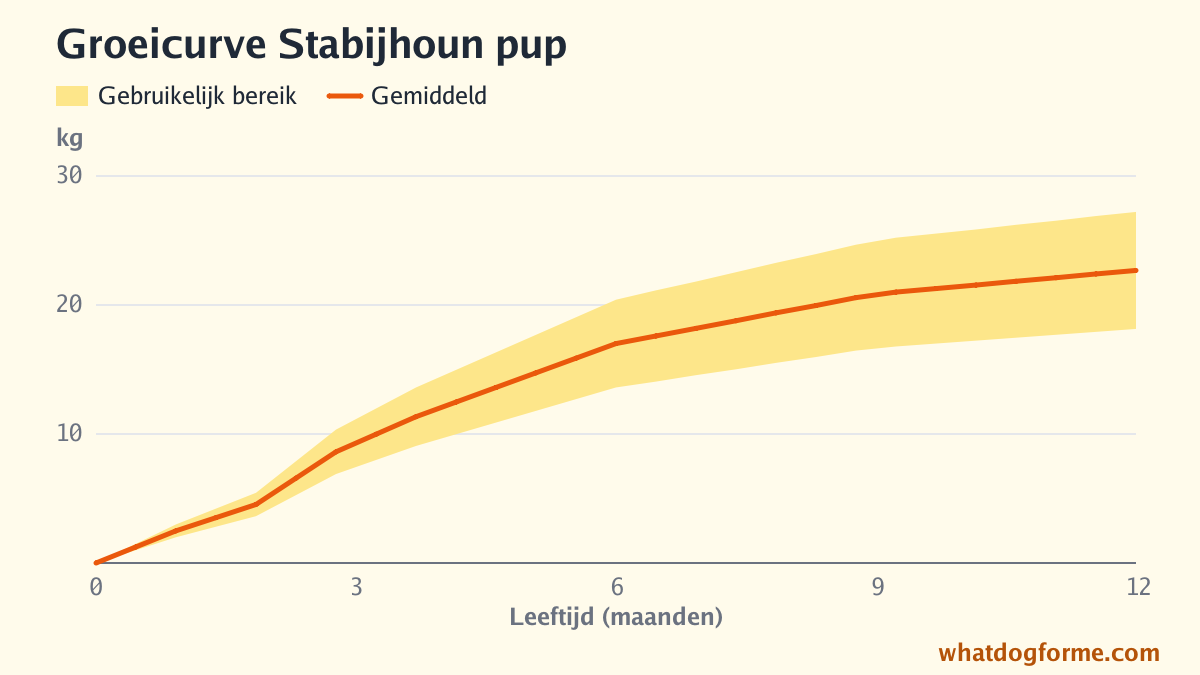 Groeicurve Stabijhoun pup: verwacht gewicht per maand van geboorte tot 12 maanden, volwassen gewicht 18-27 kg